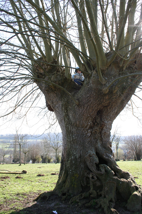 Copie_de_fr_ne_2009_03_3.jpg