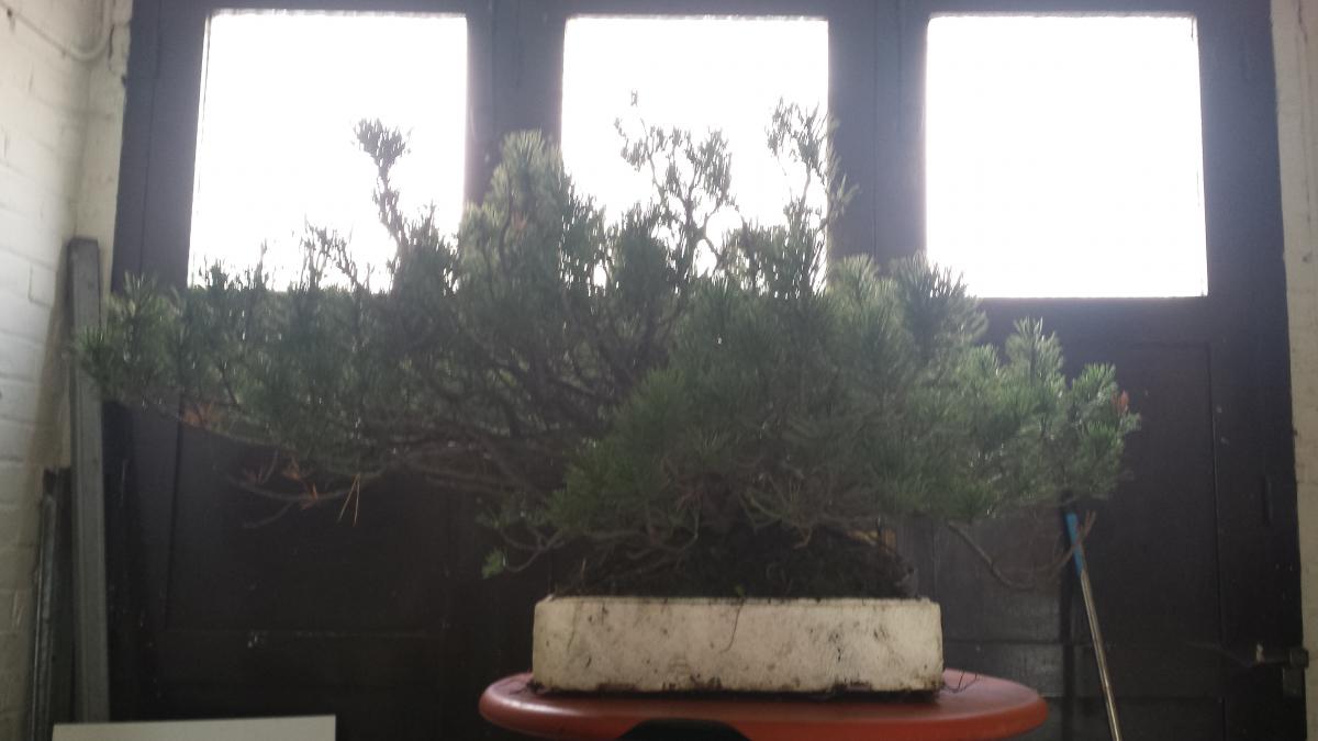 20191005_155747.jpg