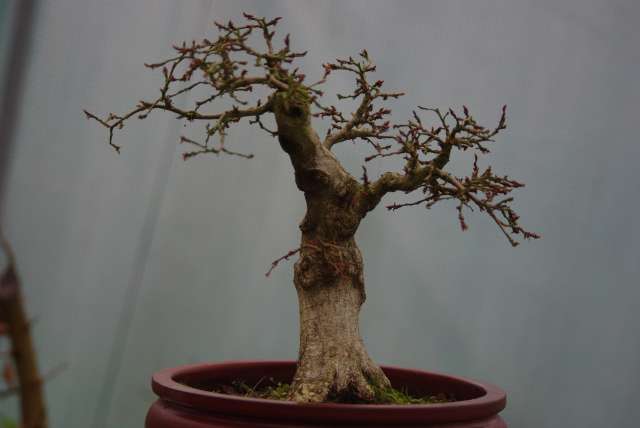 IMGP3861_PhotoRedukto.jpg