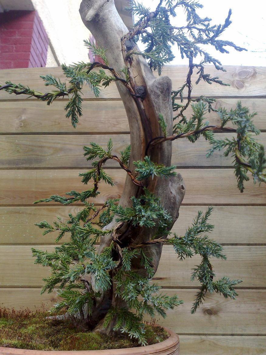 090420101601.jpg