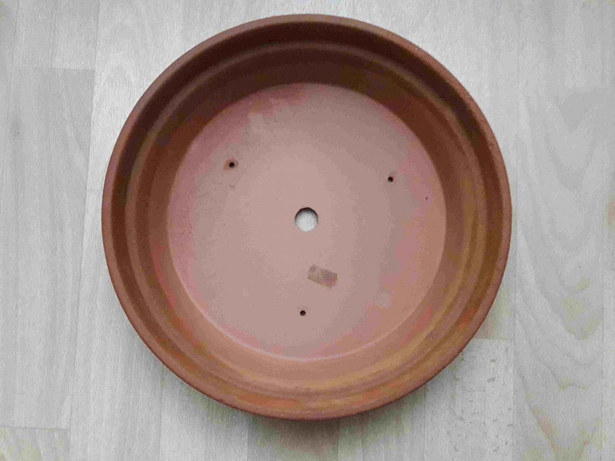 20191020_112400.jpg