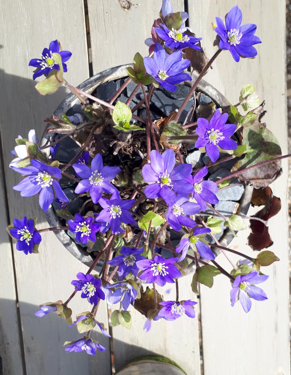 20190327_220402.jpg