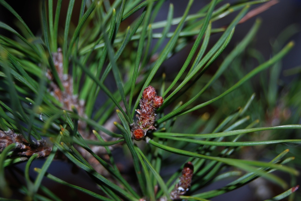 dsc_2212.jpg