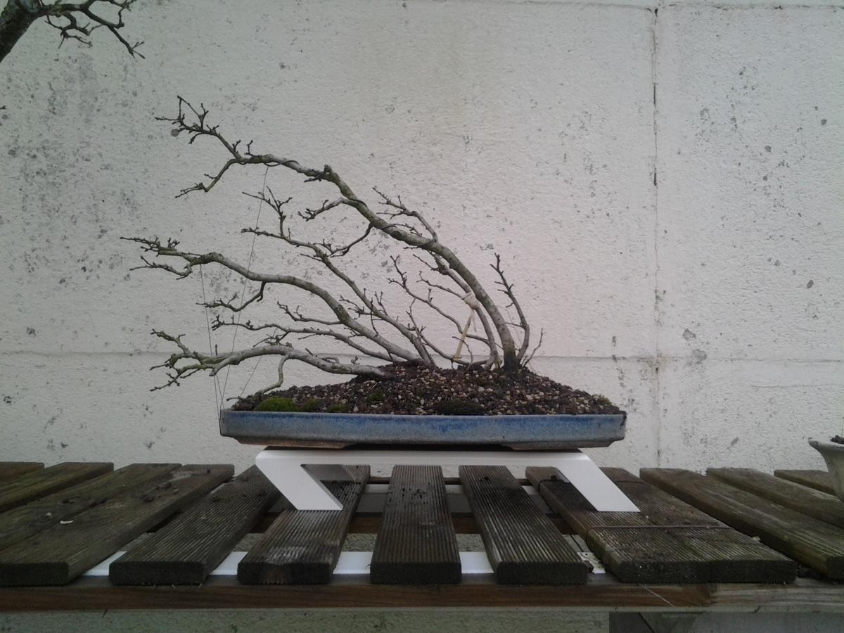 20150225_174640.jpg
