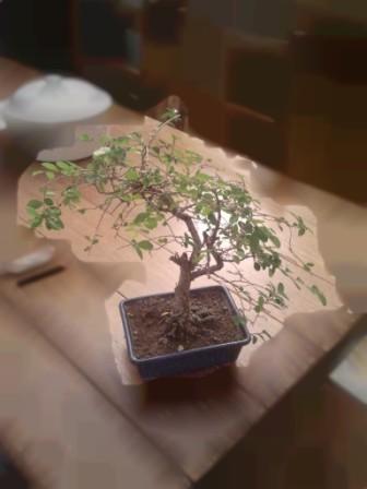 2011-06-21 21.37.04.jpg