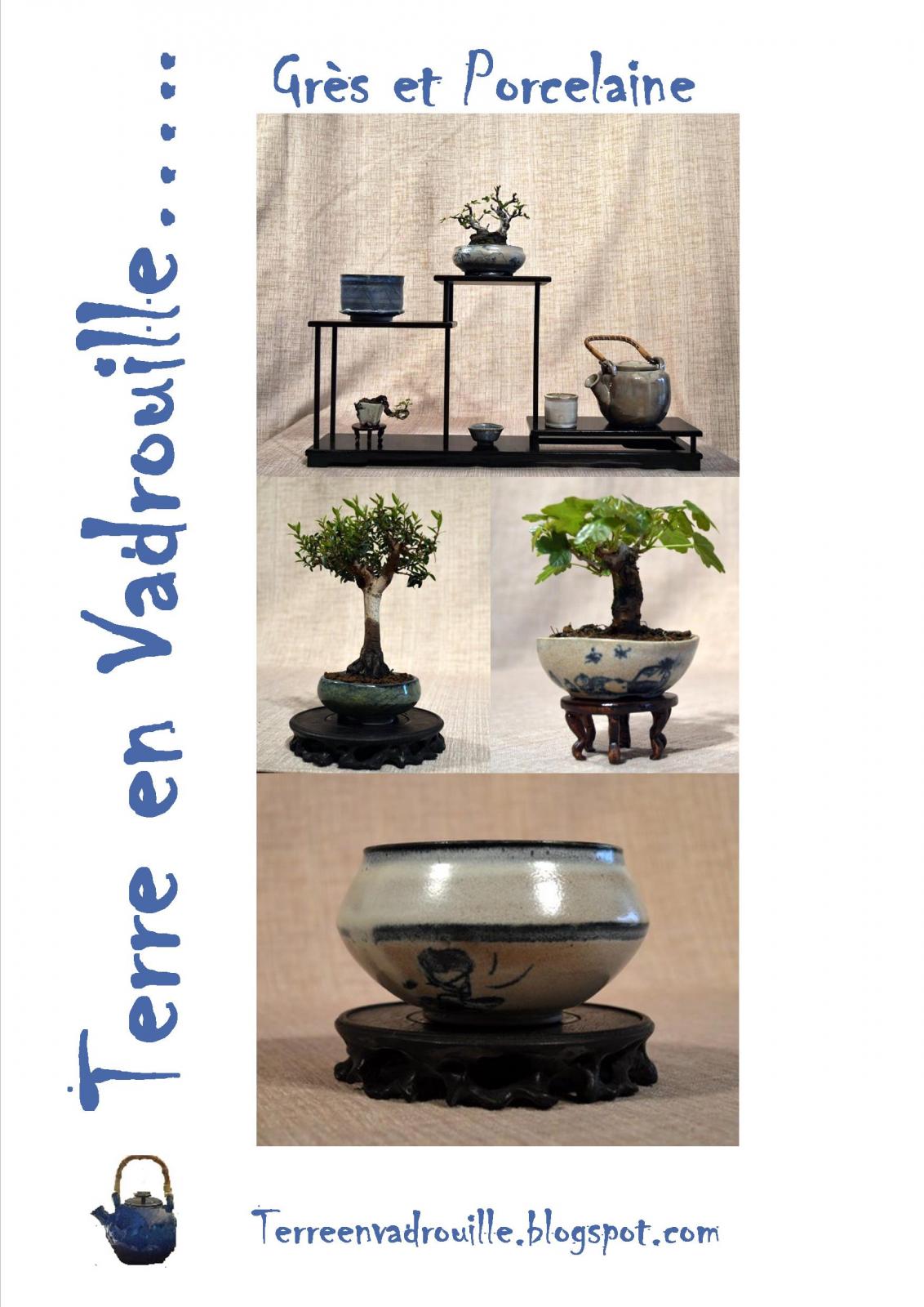 logo terre en vadrouille.jpg