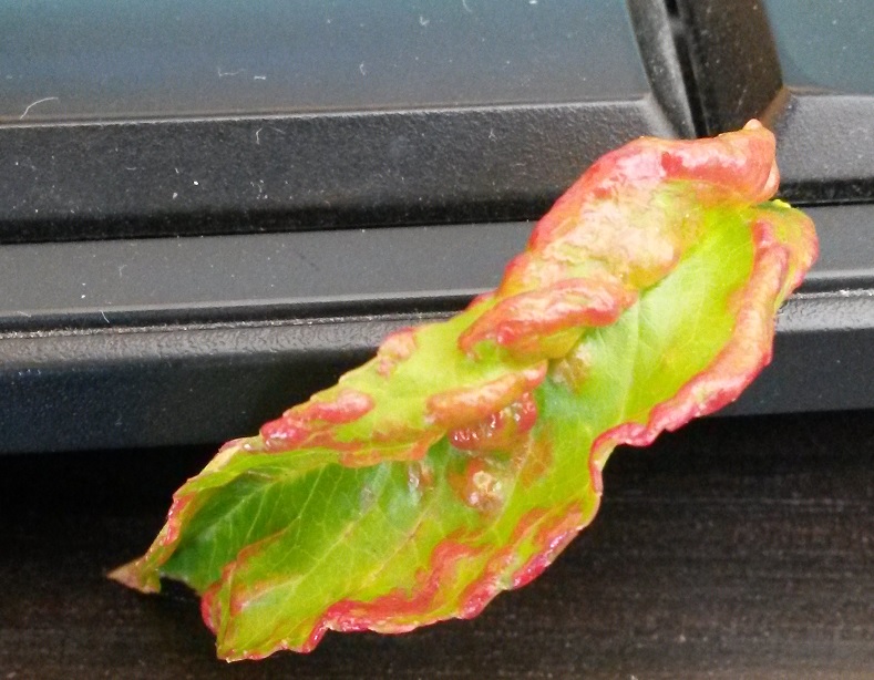 20150419_140424.jpg