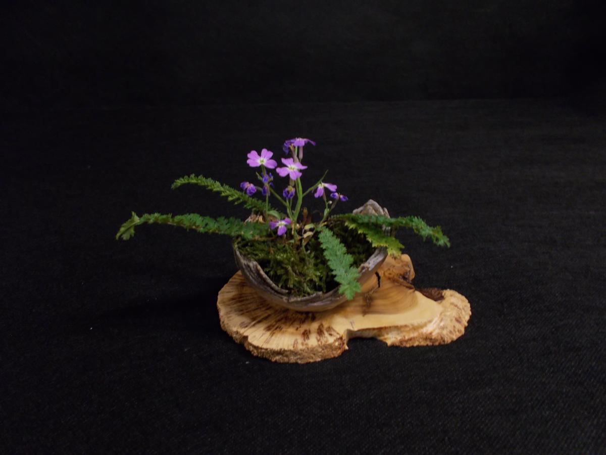 DSCN3396.JPG