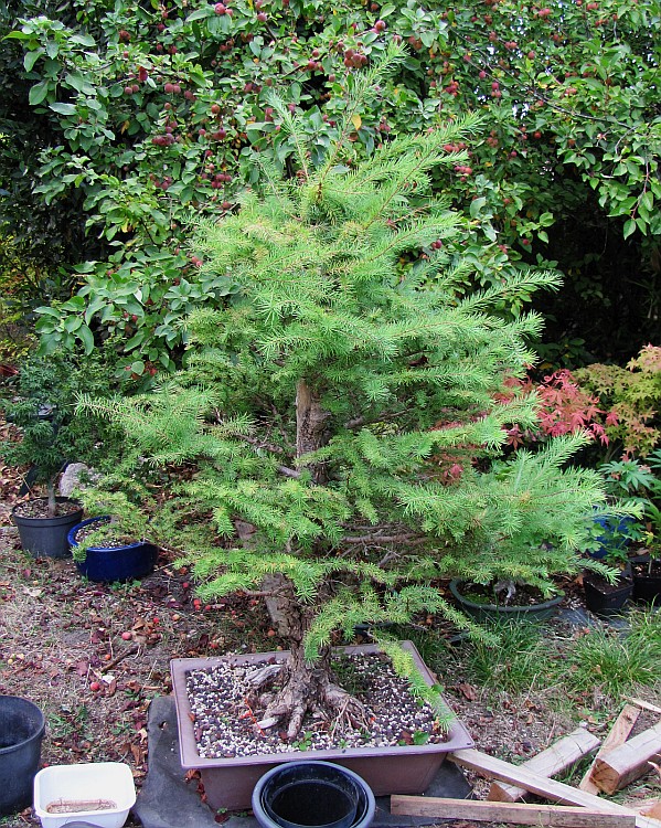 mlz9406_200909a.jpg