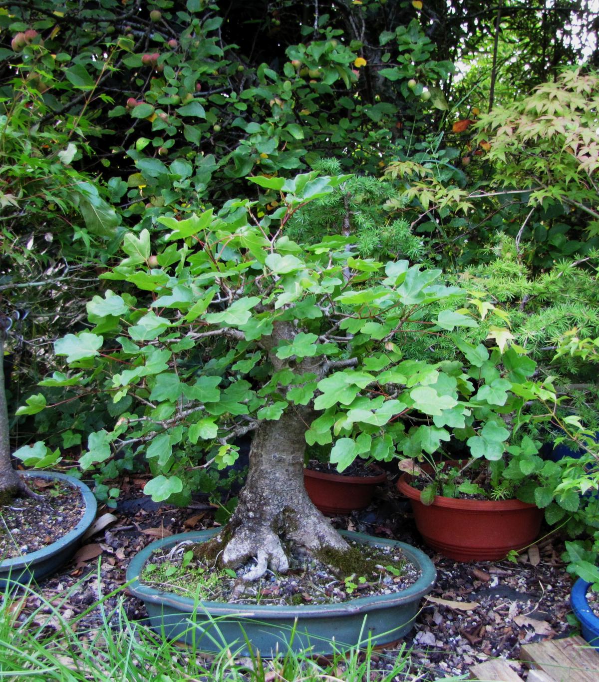 acerc01_210811a.jpg