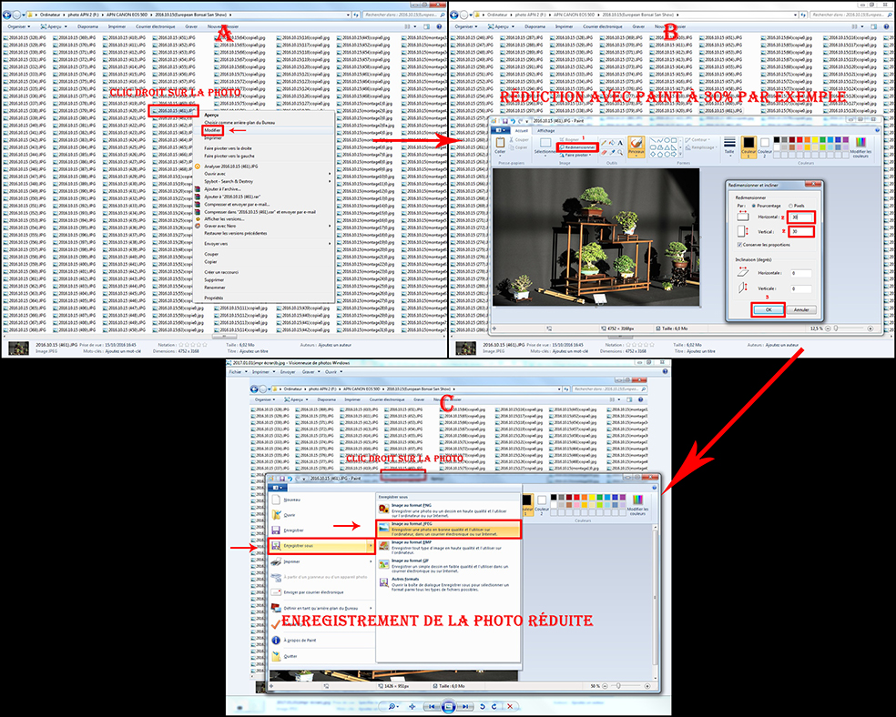2017.01.01(montage impr écran)1.jpg