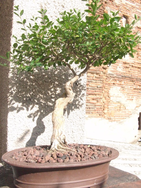 2010.jpg