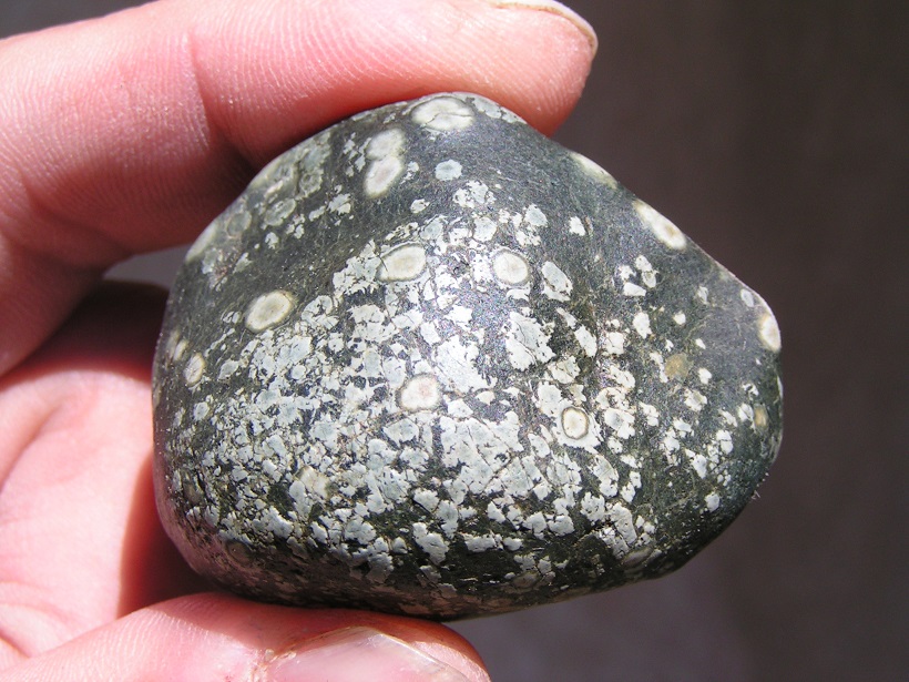 PICT0006.JPG