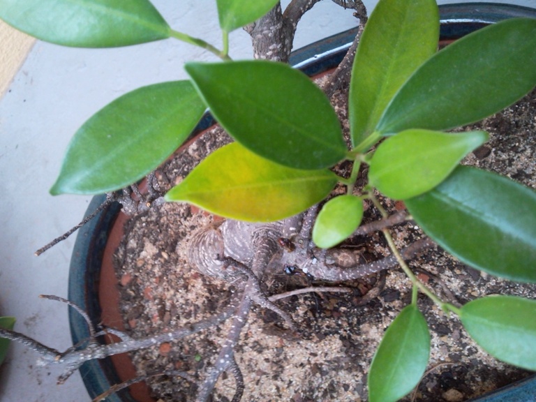 2011-03-30 18.38.15.jpg