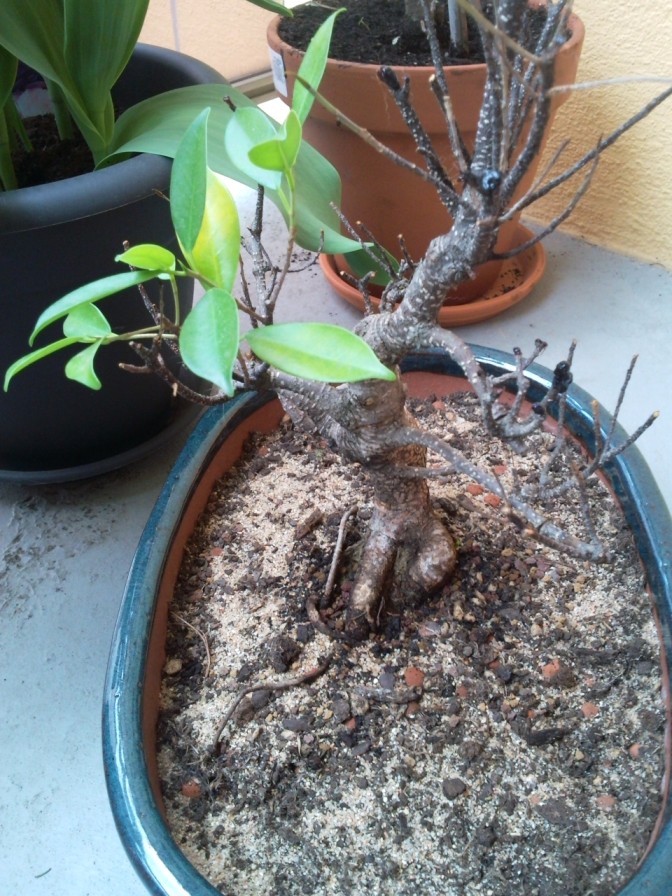 2011-03-30 18.37.53.jpg