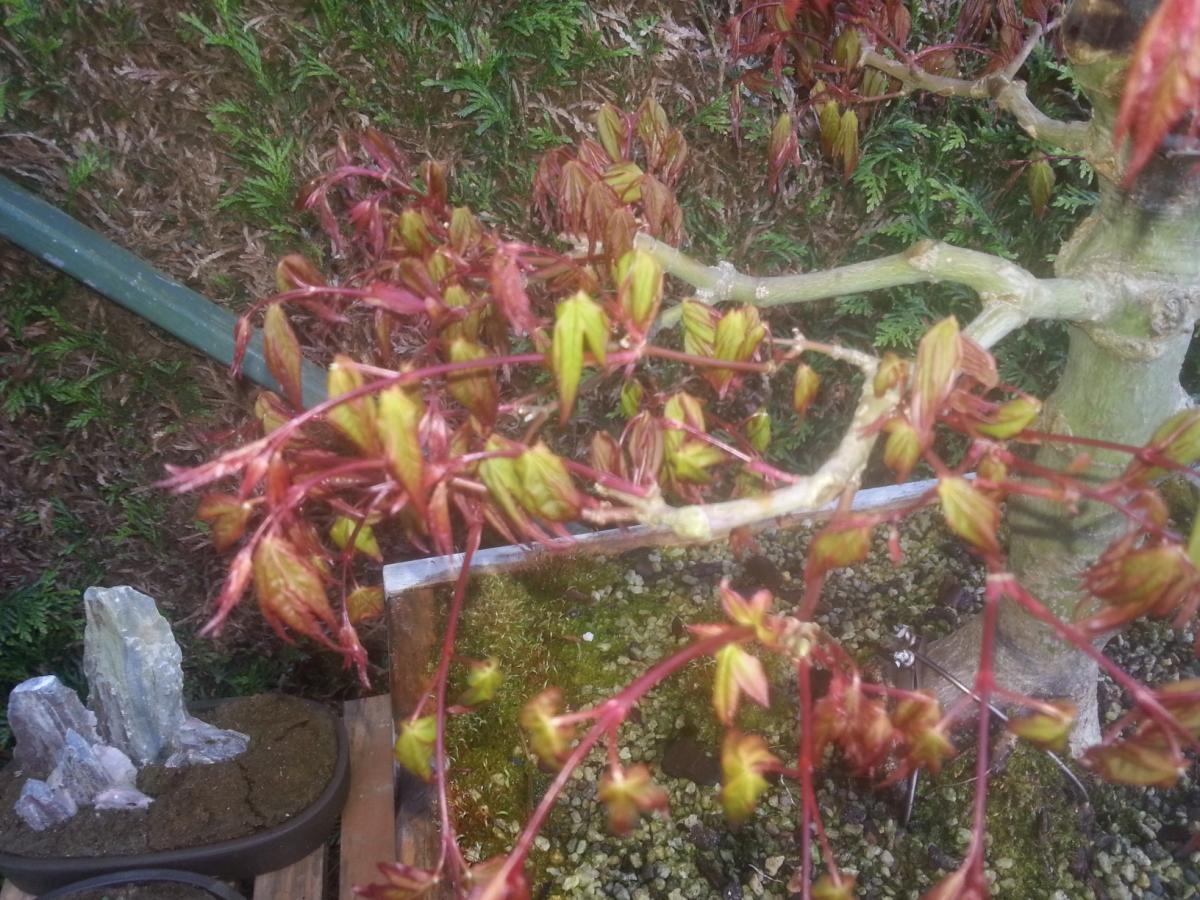 20140417_084048.jpg