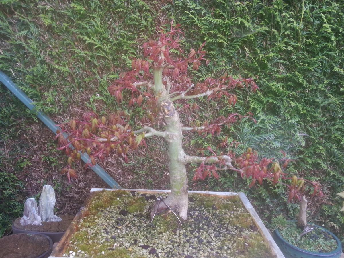 20140417_084040.jpg