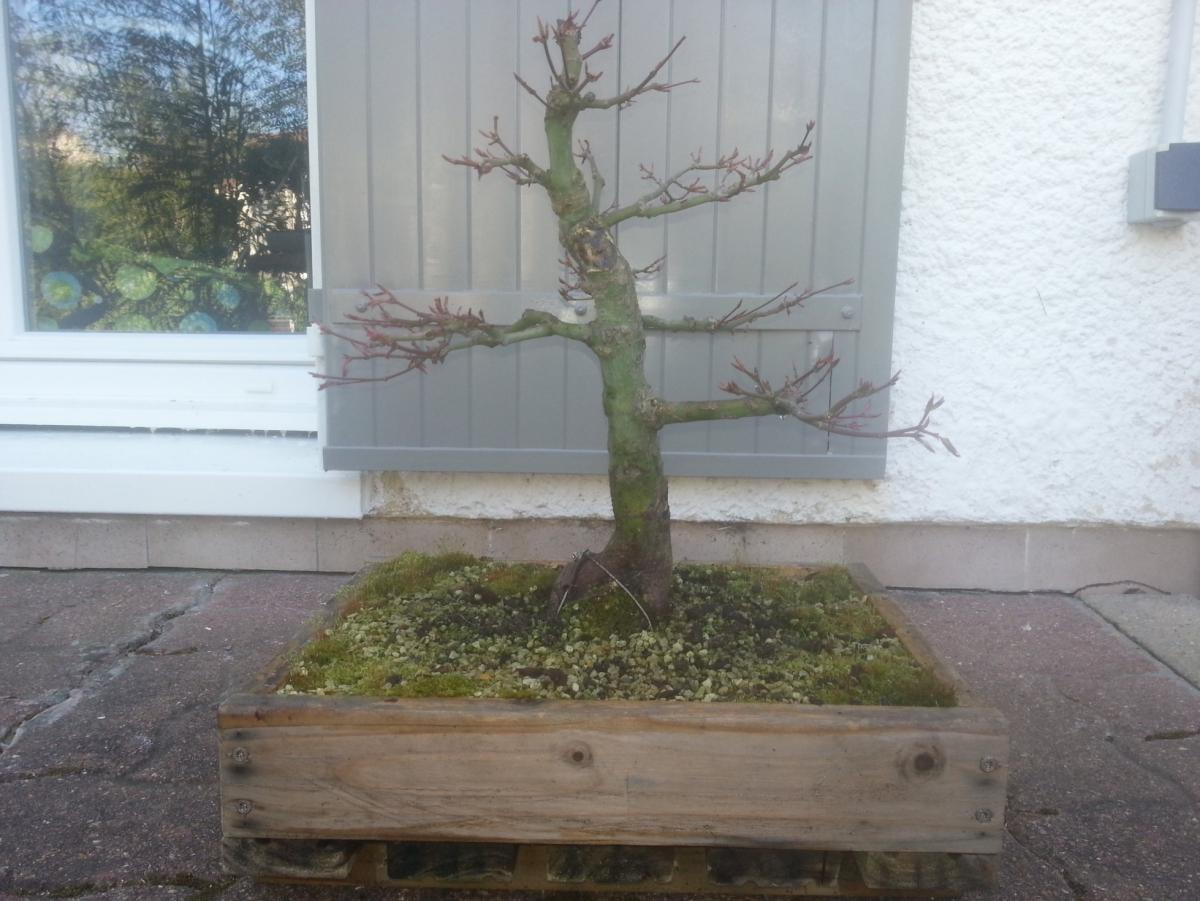 20140405_104916.jpg