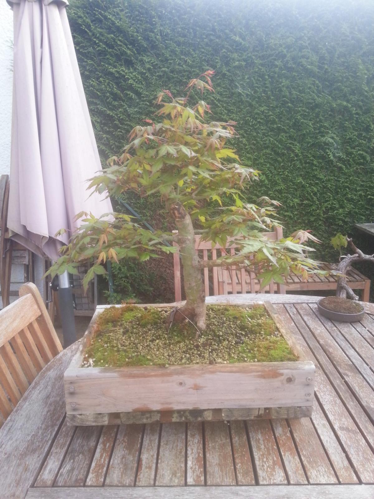 20140504_193913.jpg