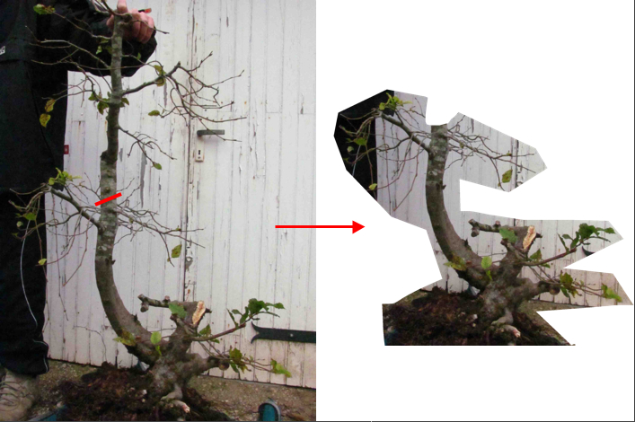 projet gros charme autoire.jpg