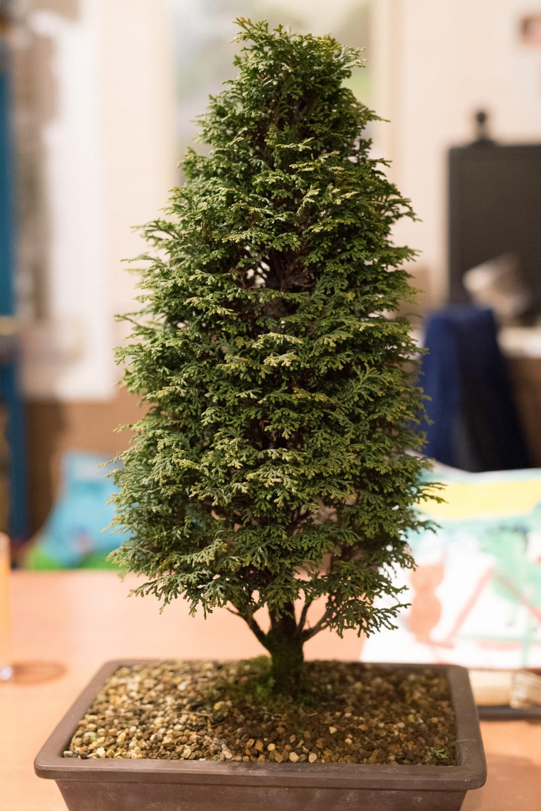 DSC_5790.jpg