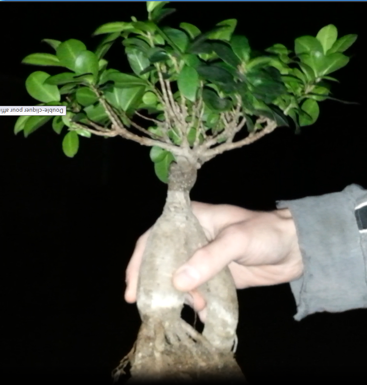 2013-05-19(4).png
