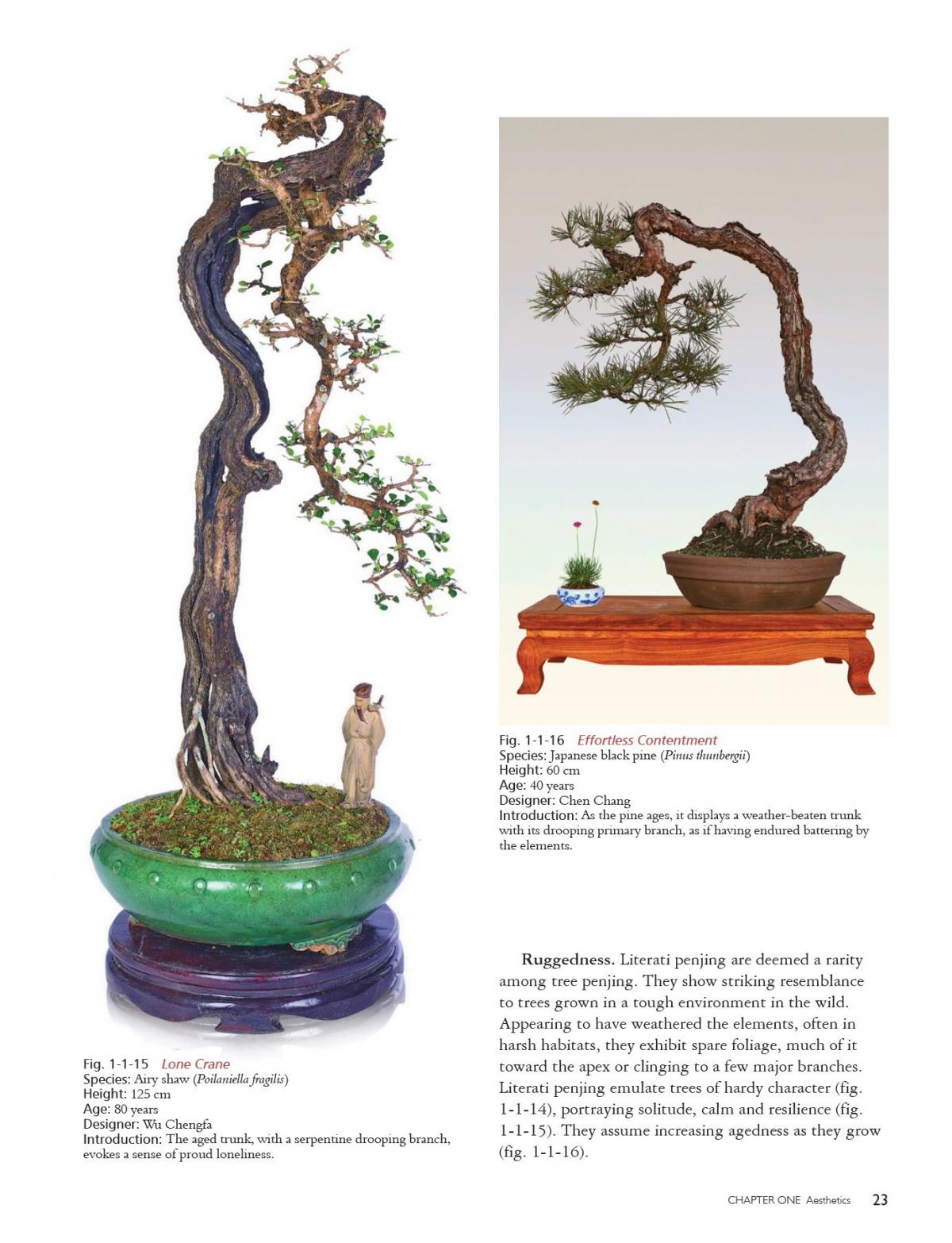 penjing2L.jpg