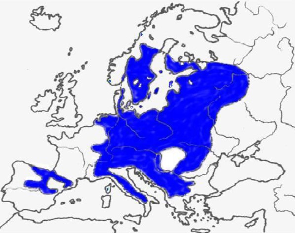 hepatica_repartition_europe.jpg