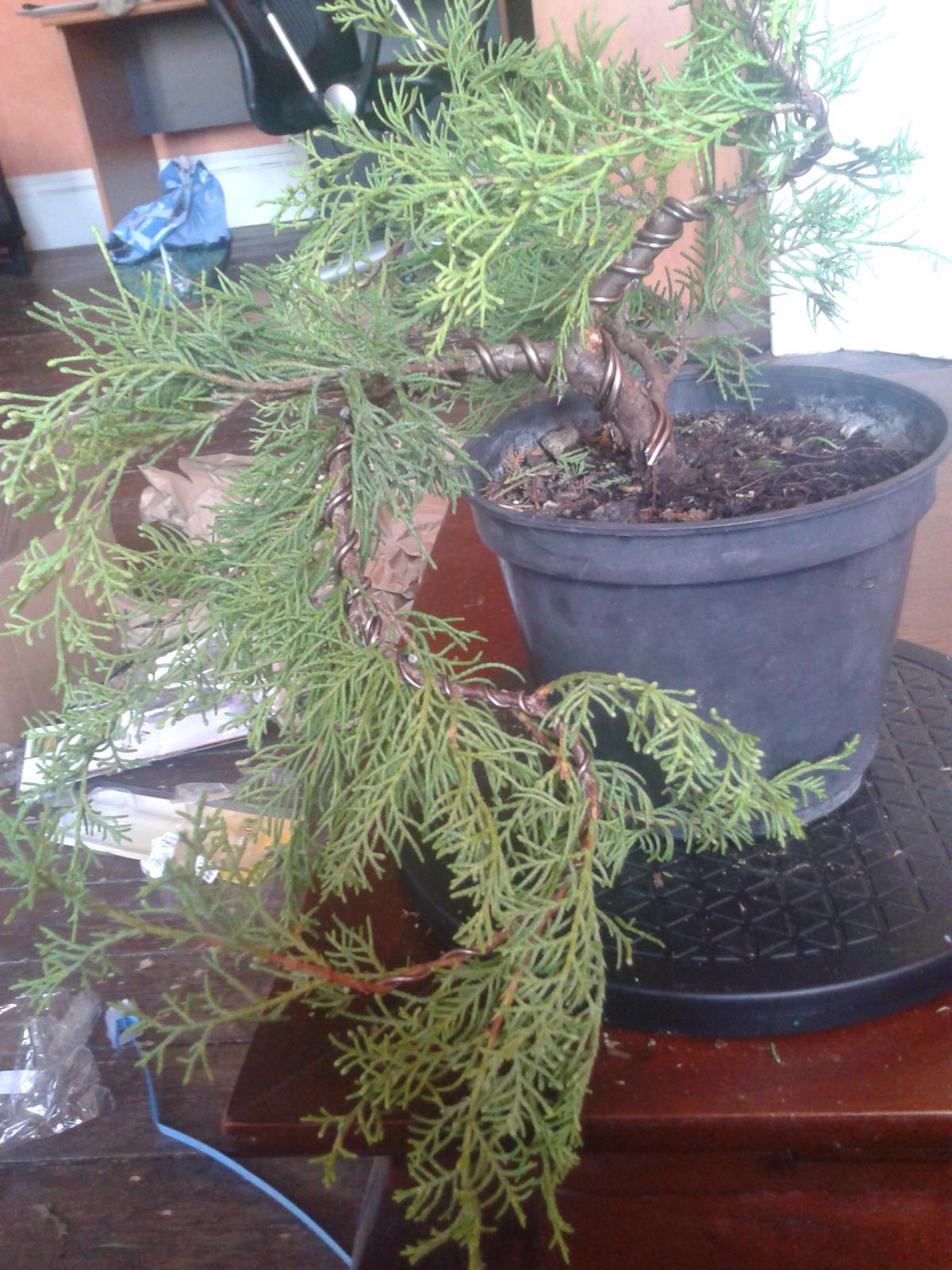 2014-08-01 18.41.08.jpg