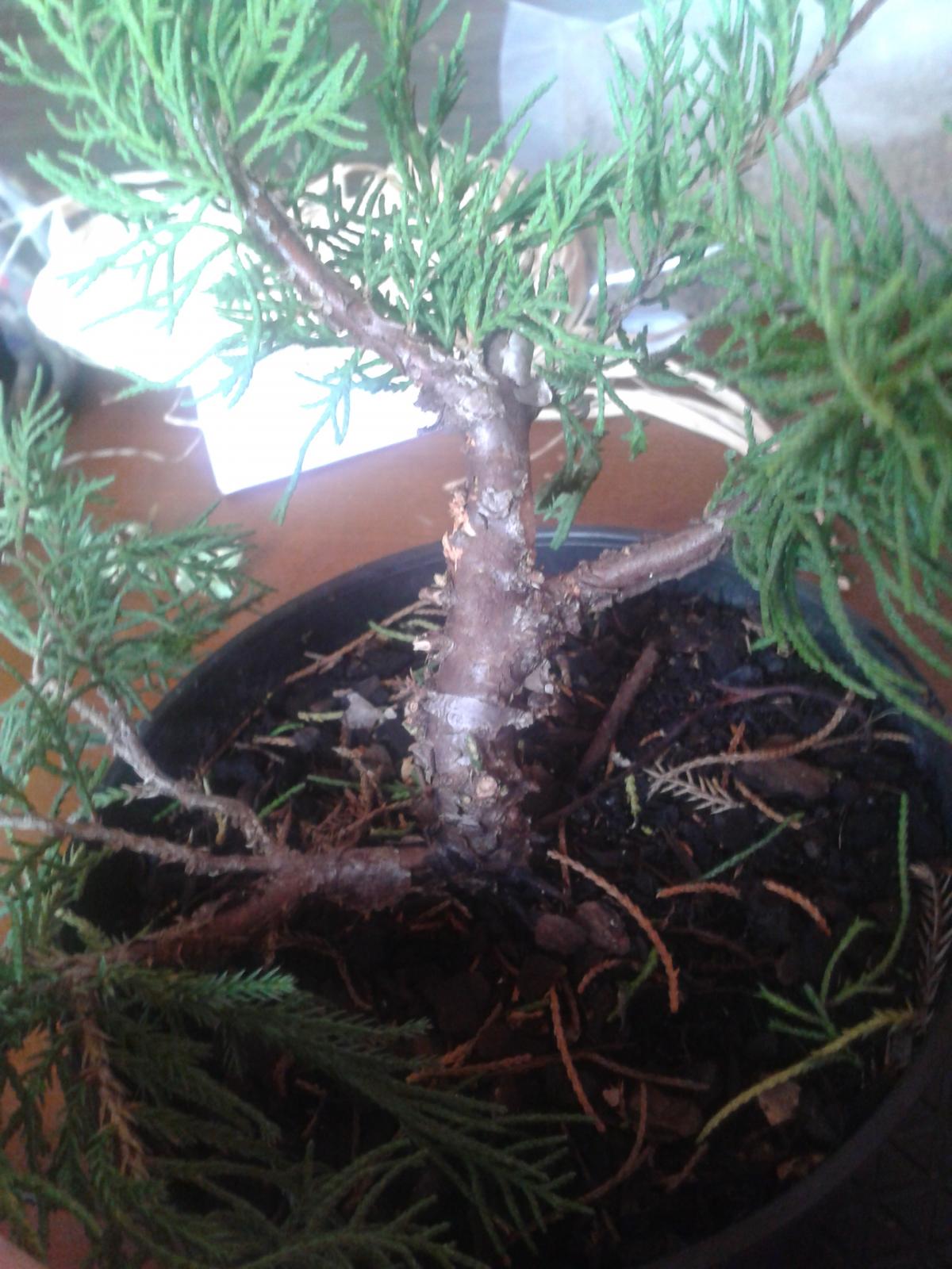 2014-07-29 12.28.14.jpg
