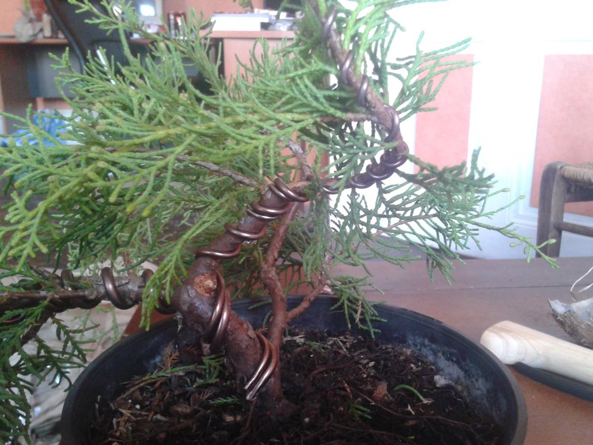 2014-08-01 18.38.10.jpg