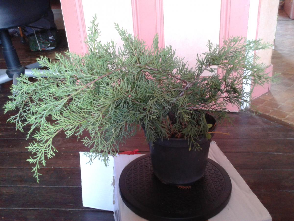 2014-07-25 12.25.42.jpg