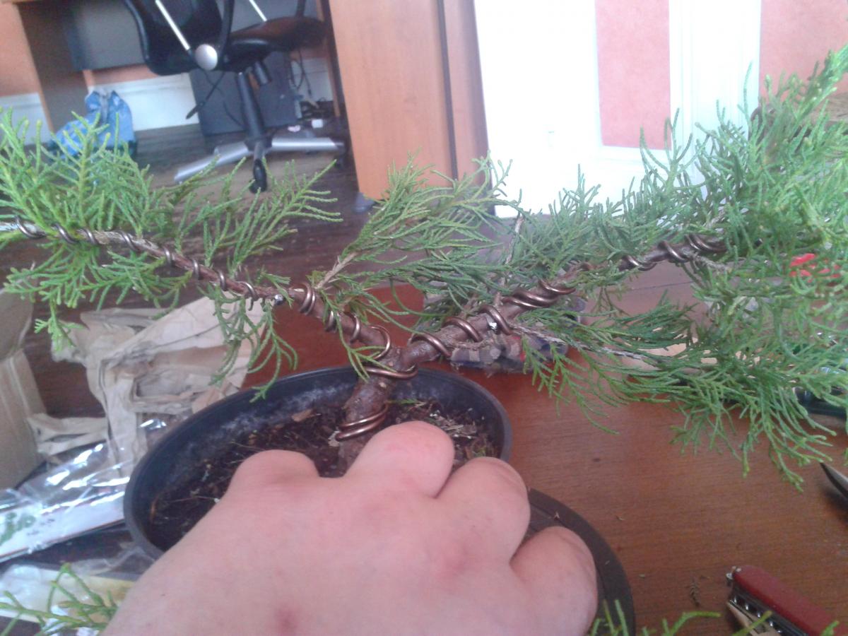 2014-08-01 18.27.26.jpg