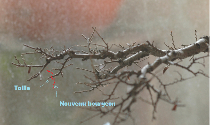 Sans titre.png