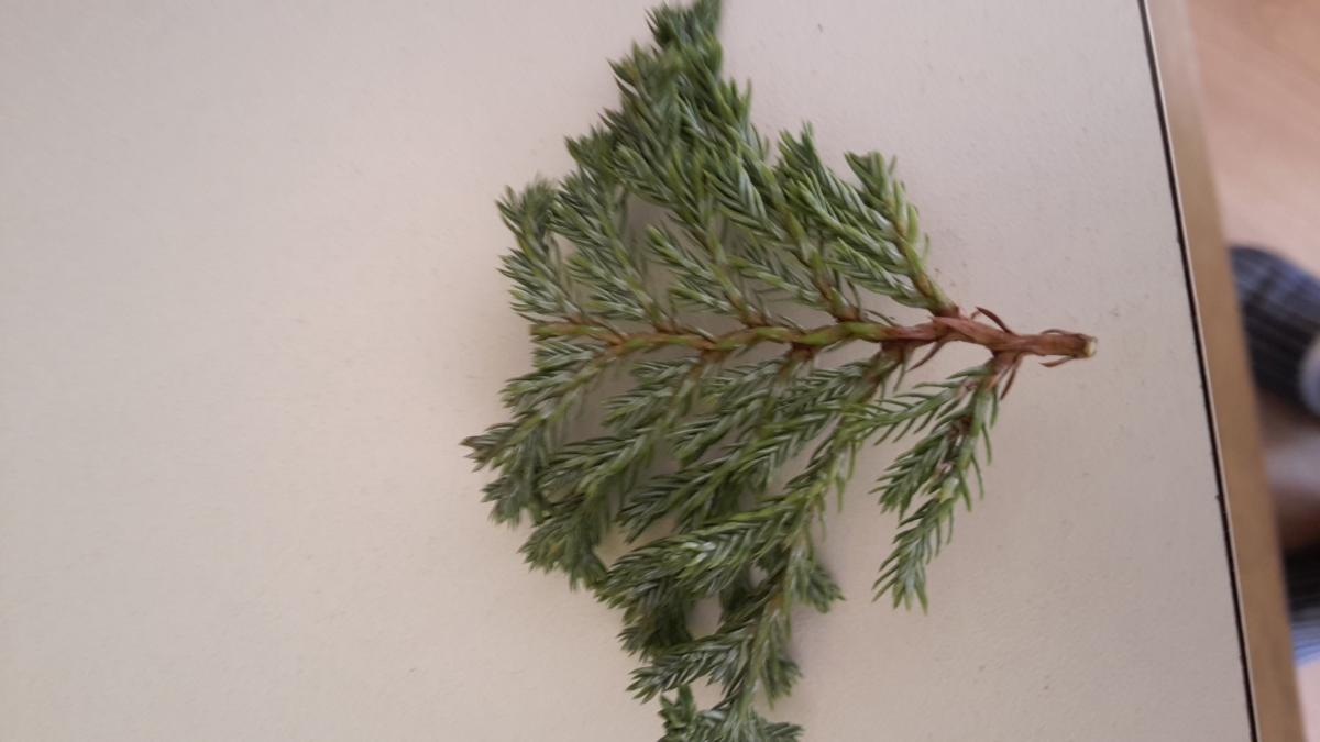 20150415_1733301.jpg