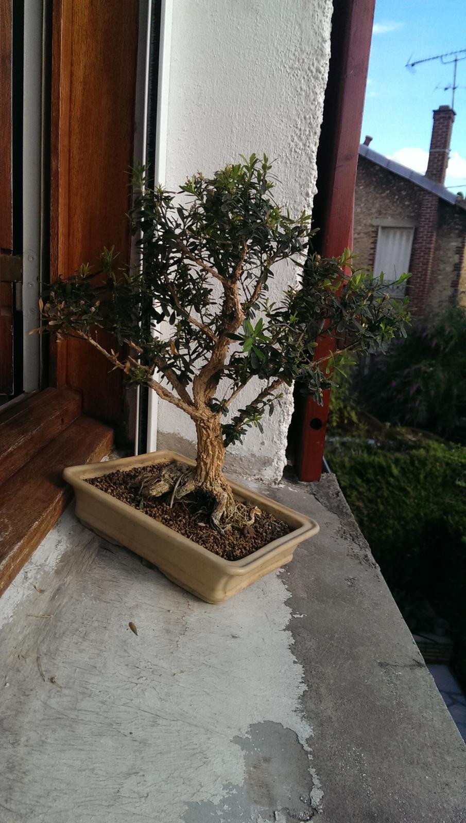 IMAG3369.jpg