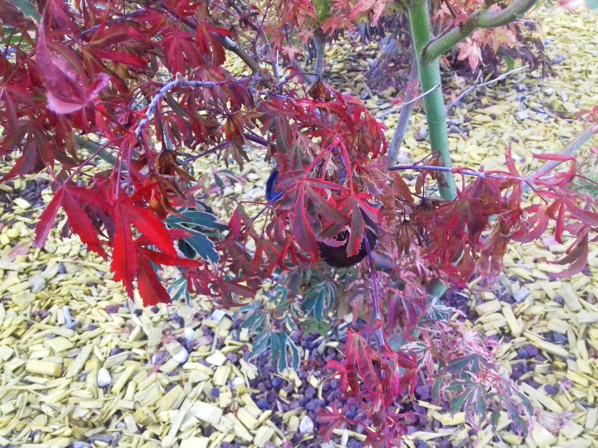 20190831_095409.jpg