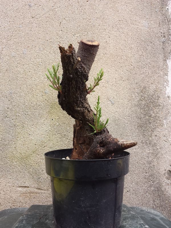 20170424_143418.jpg