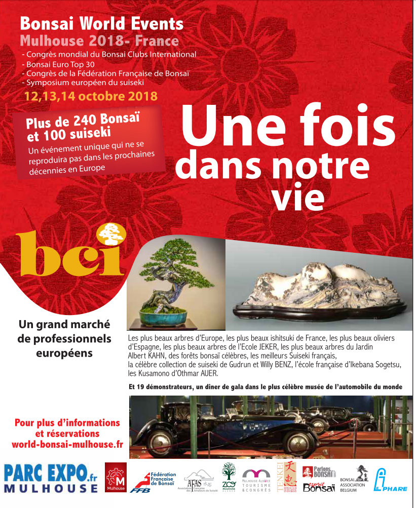 Affiche.jpg
