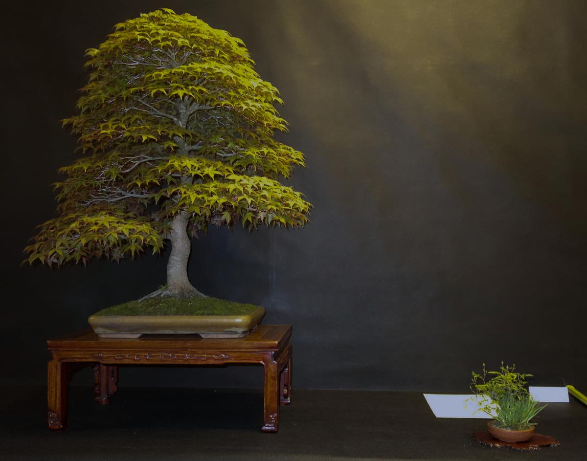 Danielle Grégoire.jpg