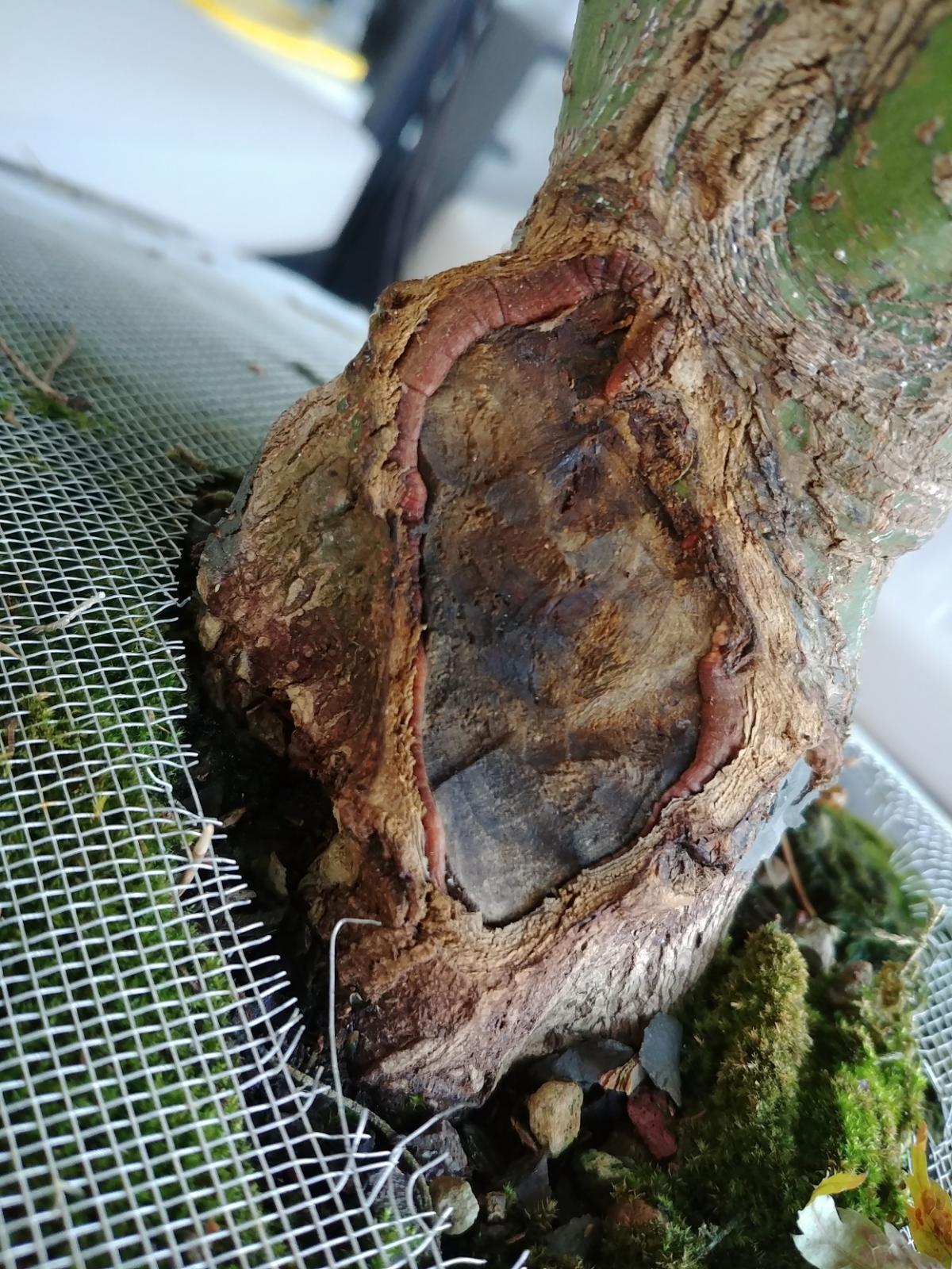 20180711_210524.jpg