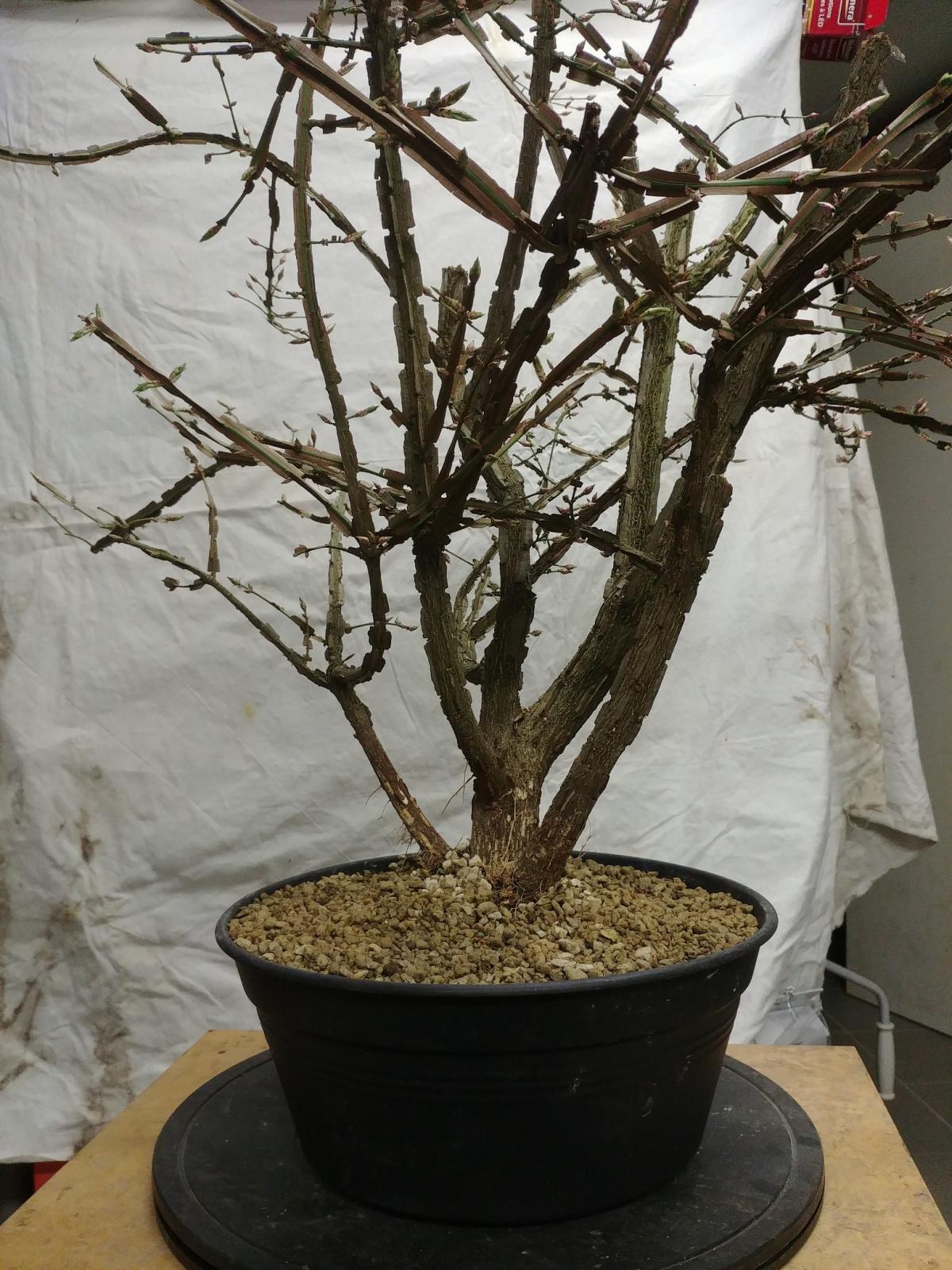 20190328_222247.jpg
