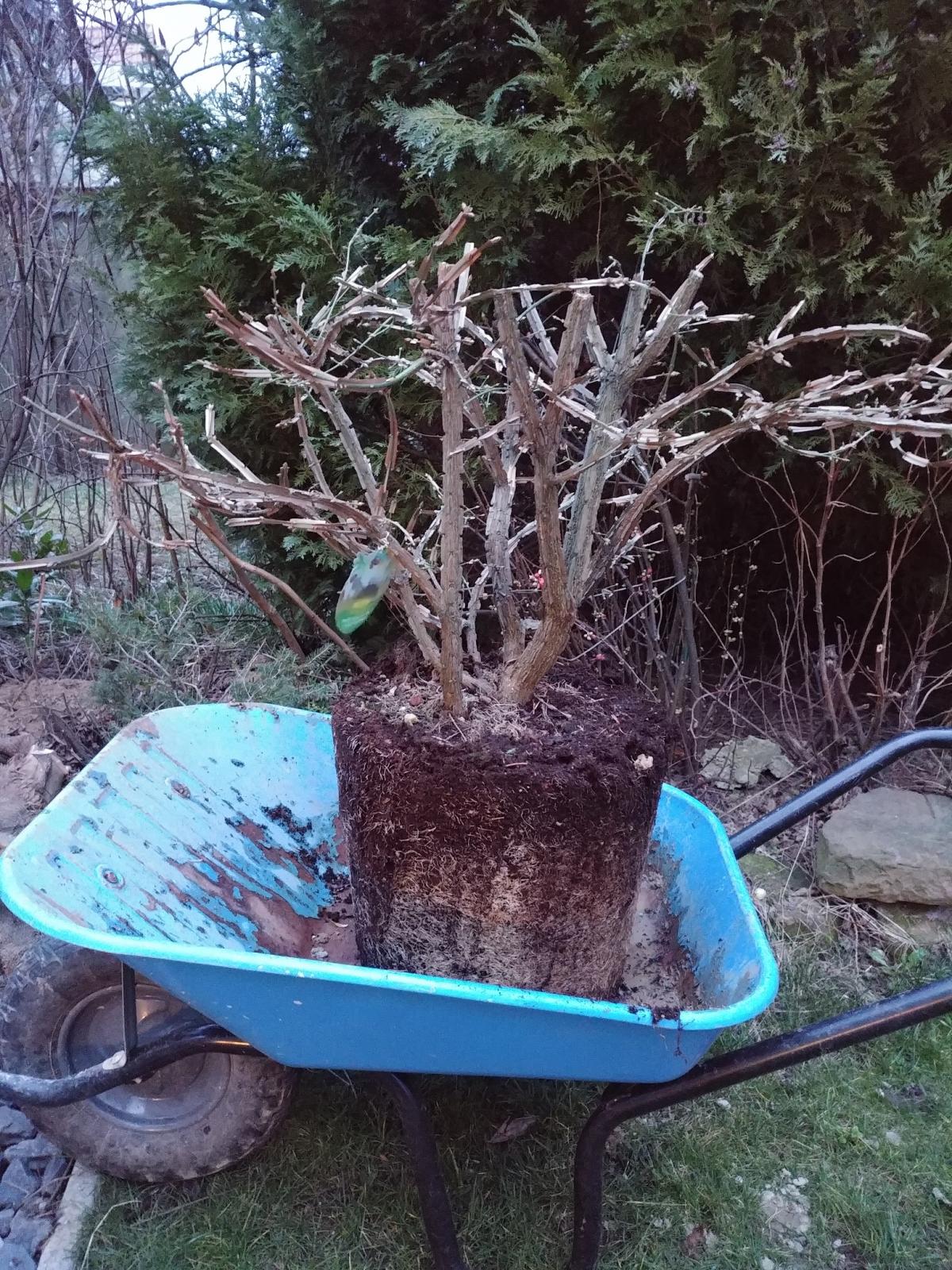 20190303_182441.jpg