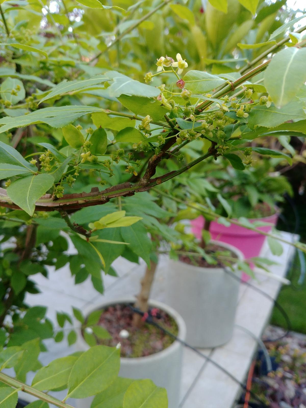 20190522_193627.jpg