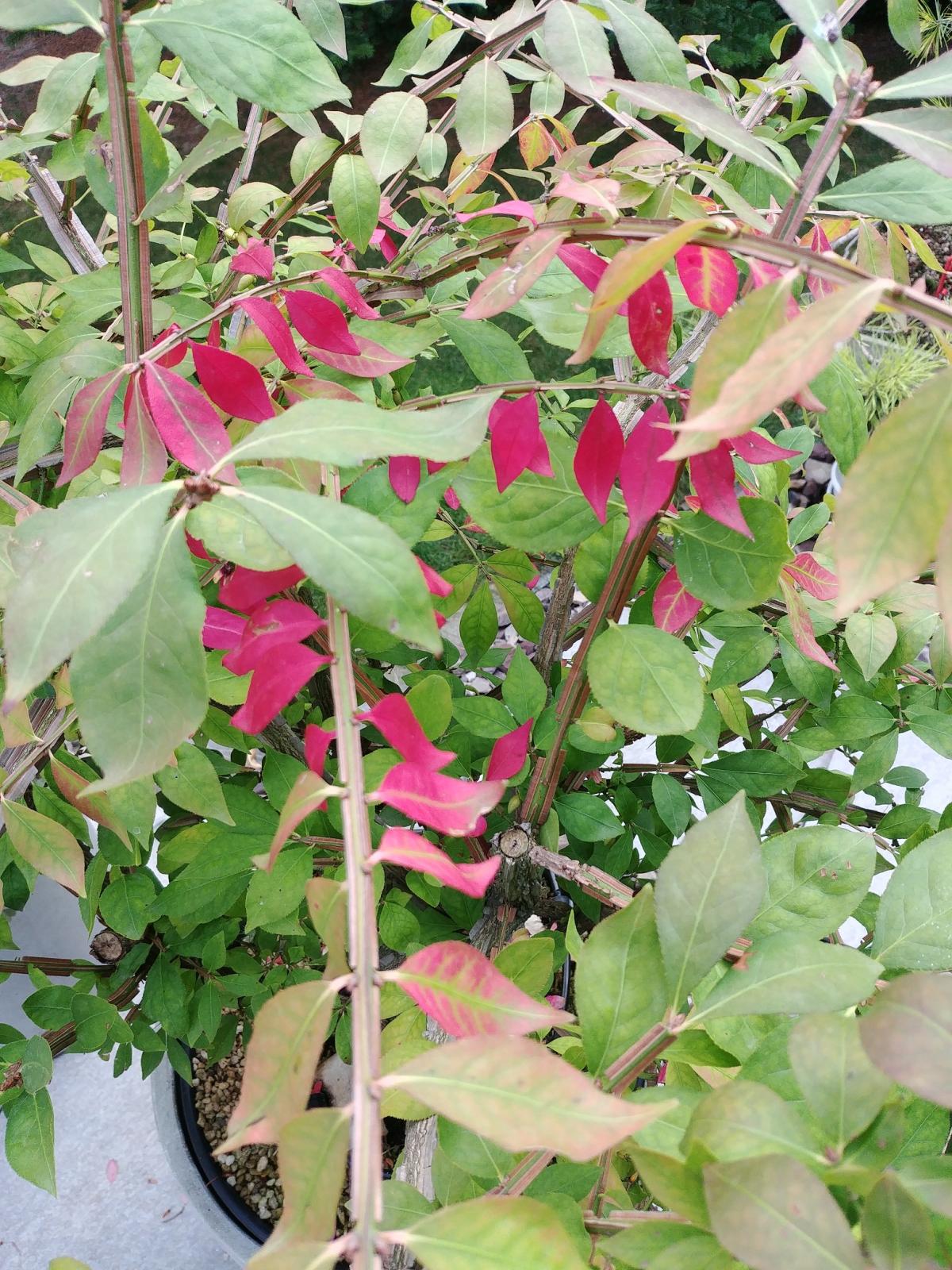20190829_185925.jpg