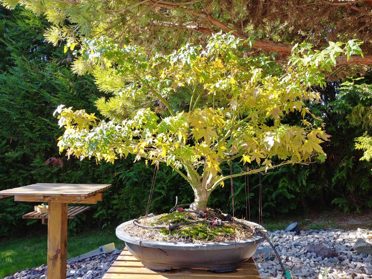 20180930_141630_HDR.jpg