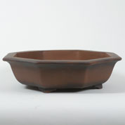 poterie bonsai - octogonale - l43 x h12 cm.jpg