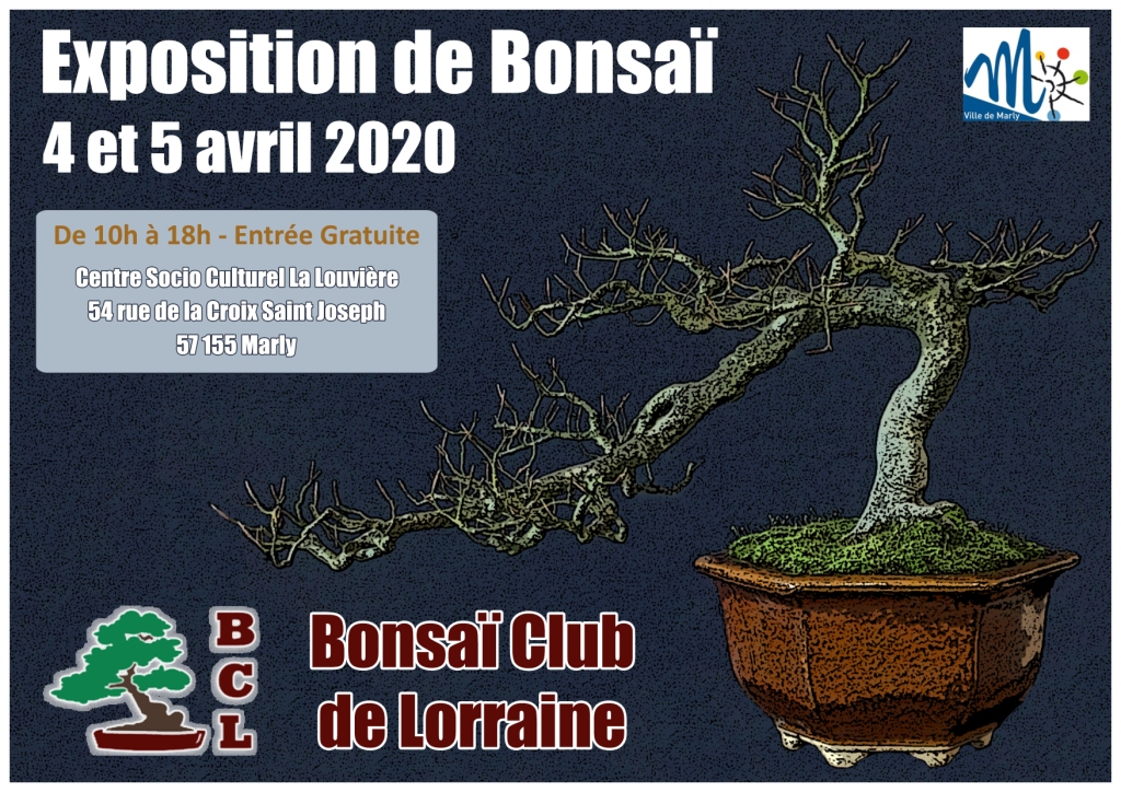 Affiche Expo BCL 2020 compr.jpg