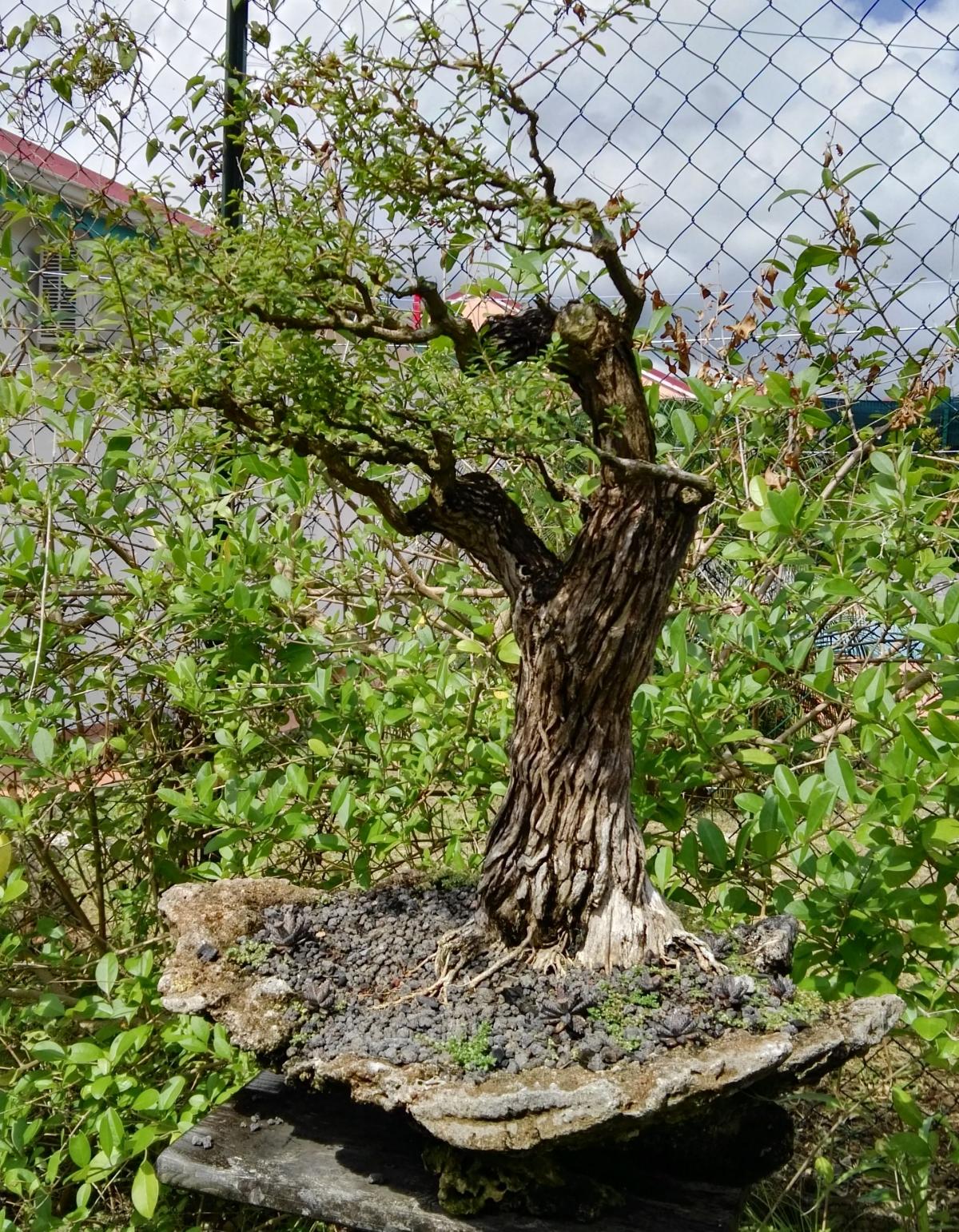 20180309_36.jpg