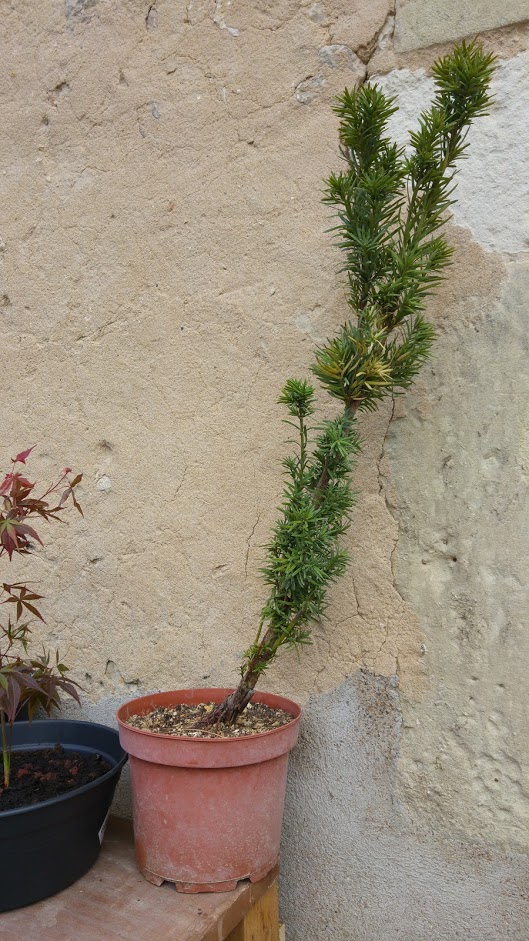 20190428_192013.jpg